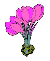 flower1