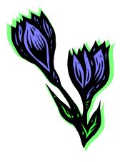 flower2