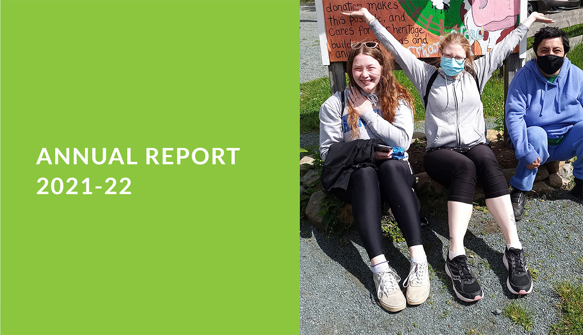 annual-report-DLN